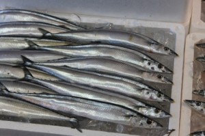 sanma-300x199